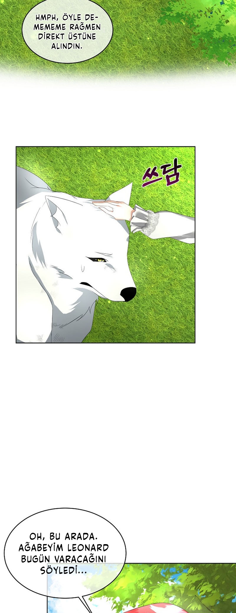 Fostering the Male Lead - Bölüm 12