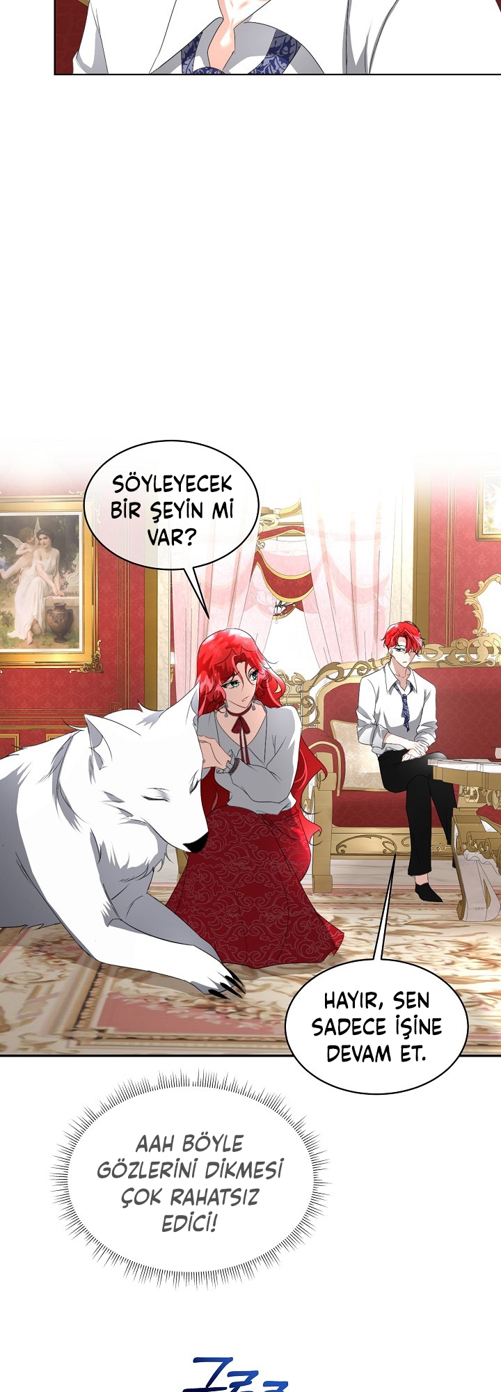 Fostering the Male Lead - Bölüm 15