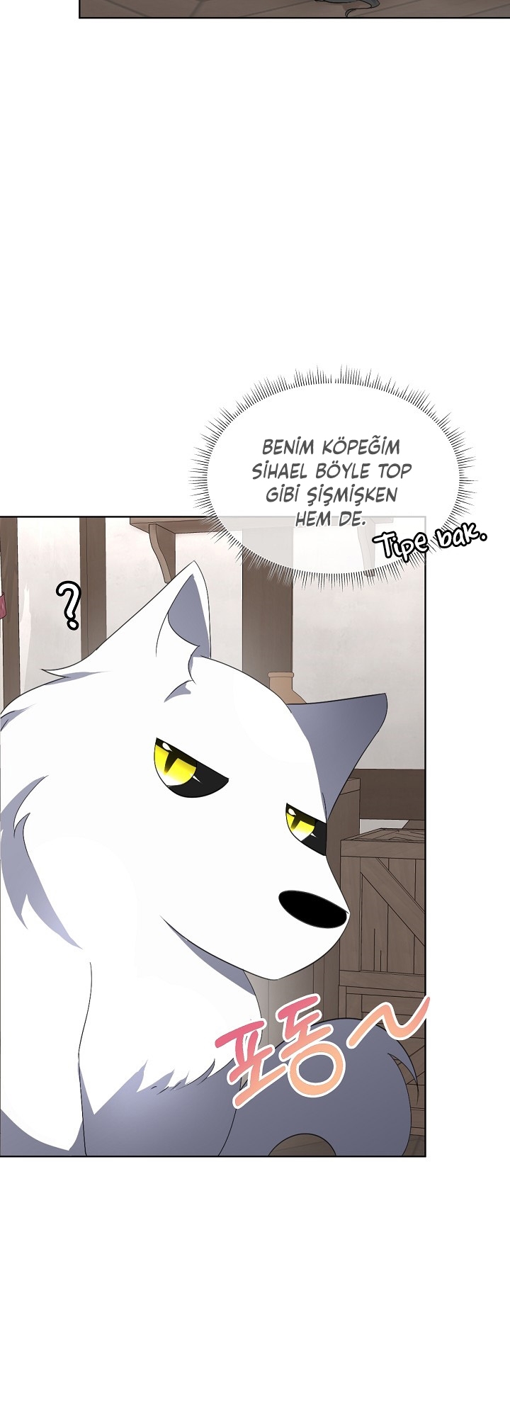 Fostering the Male Lead - Bölüm 17