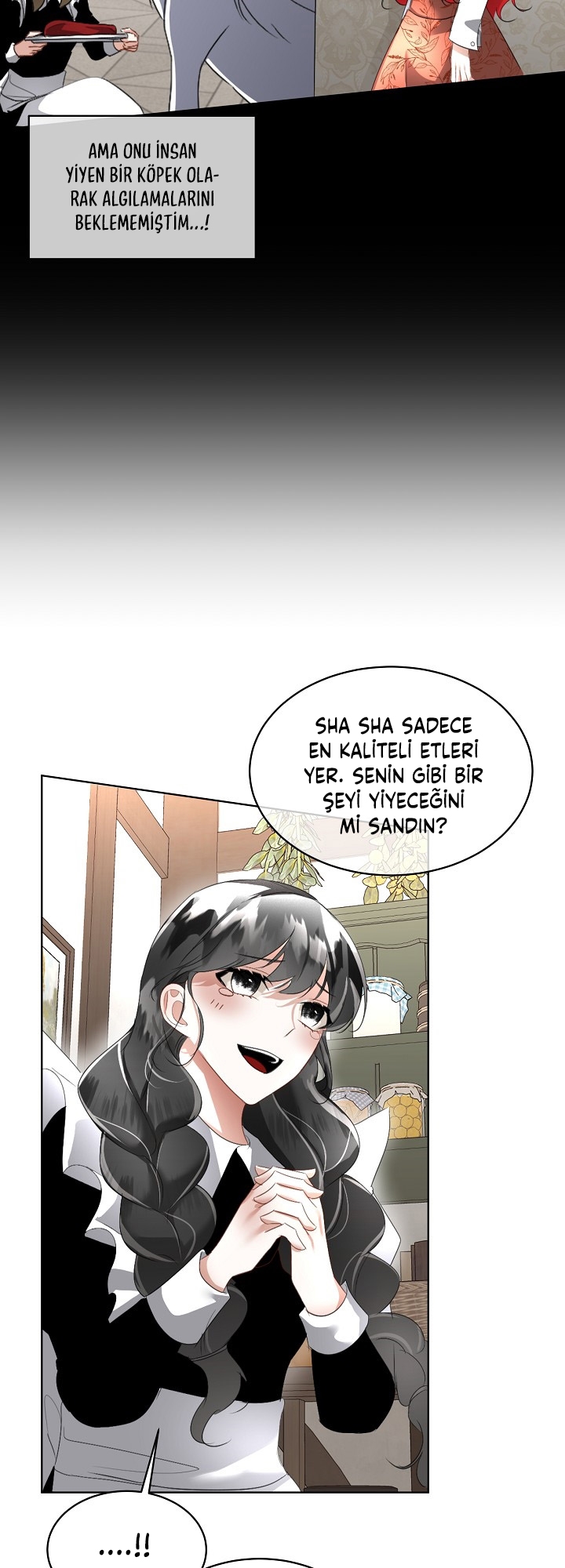 Fostering the Male Lead - Bölüm 17