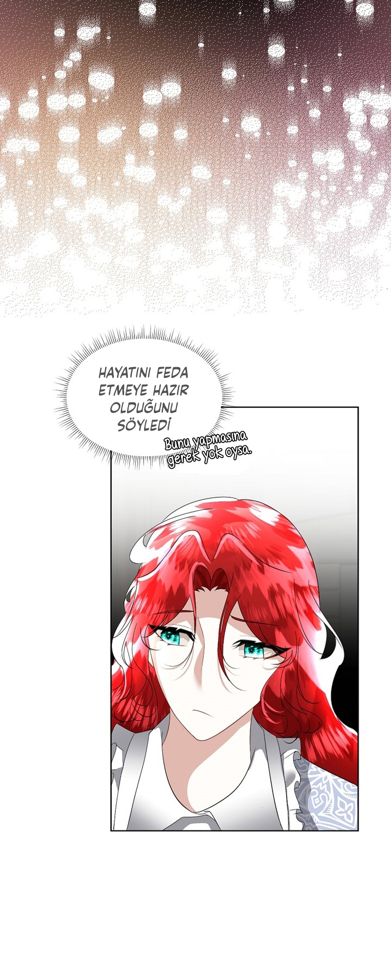 Fostering the Male Lead - Bölüm 20