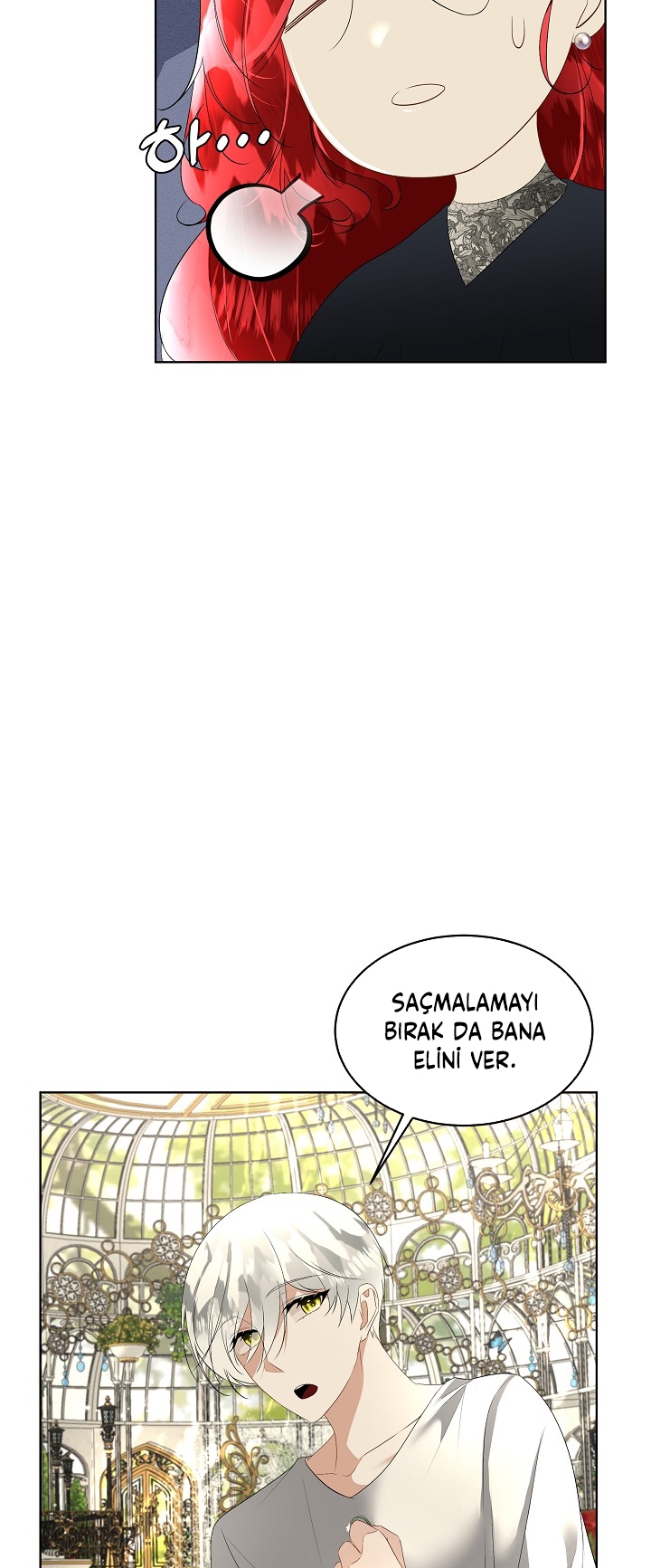 Fostering the Male Lead - Bölüm 28