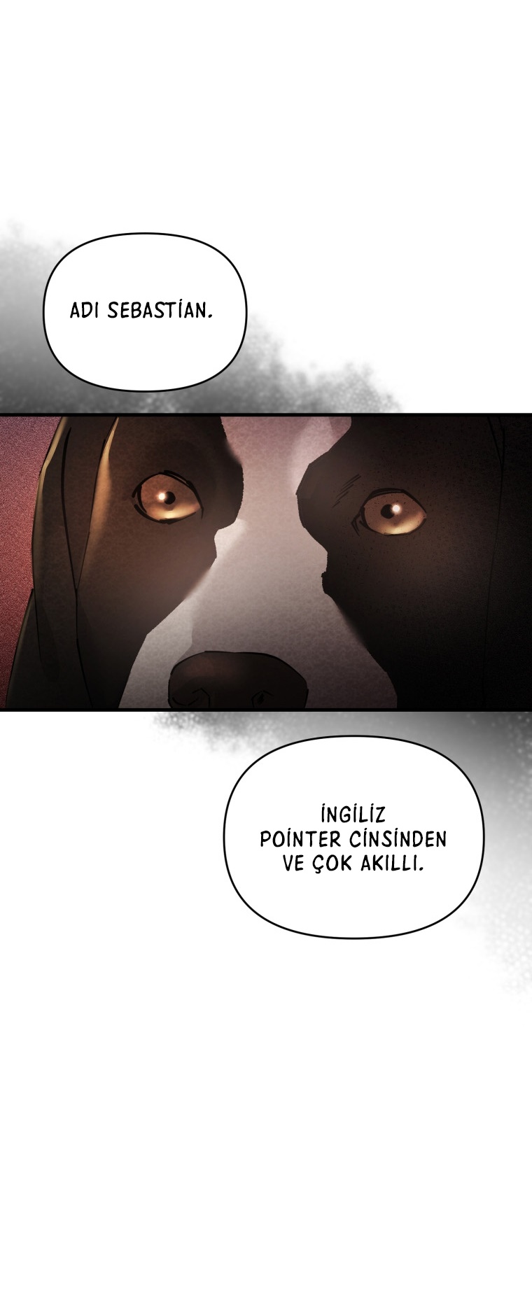 Apollo’s Heart – Bölüm 20