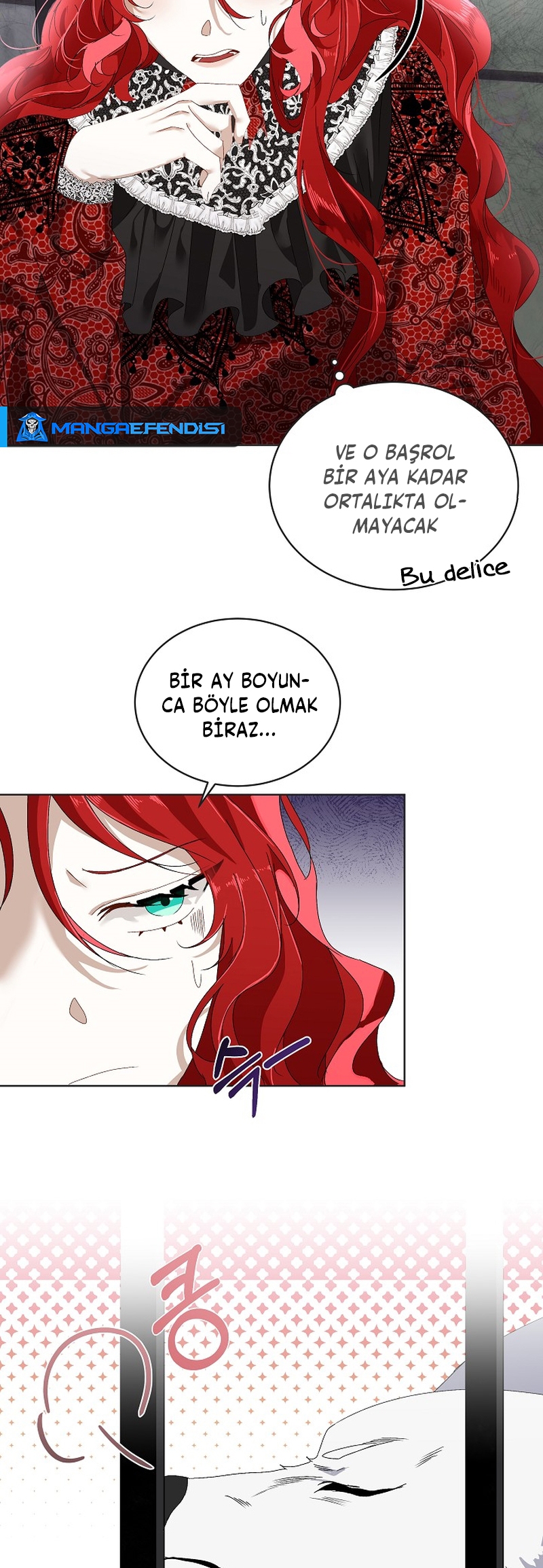 Fostering the Male Lead - Bölüm 1