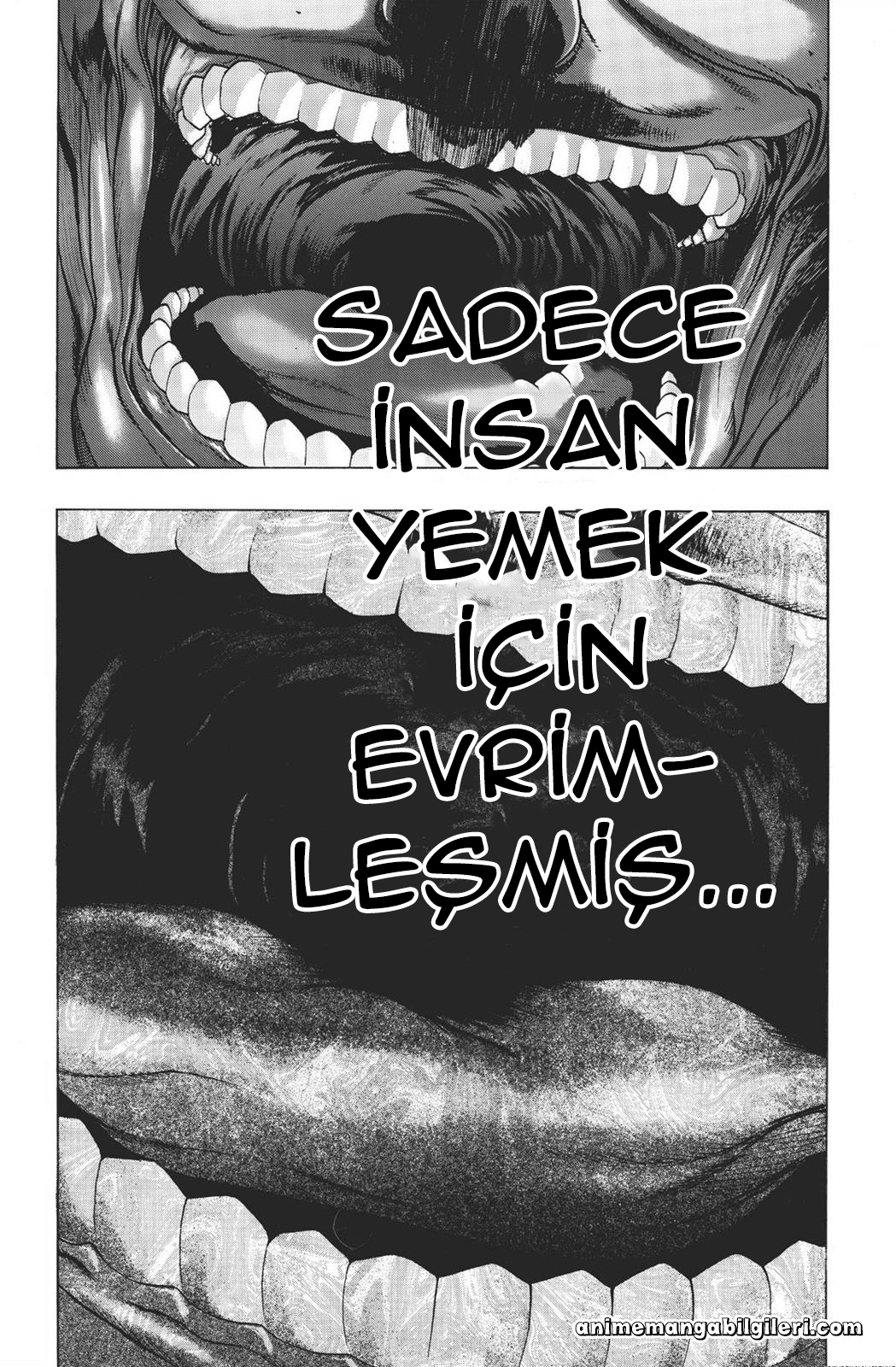 Shingeki no Kyojin - Before the Fall - Bölüm 7