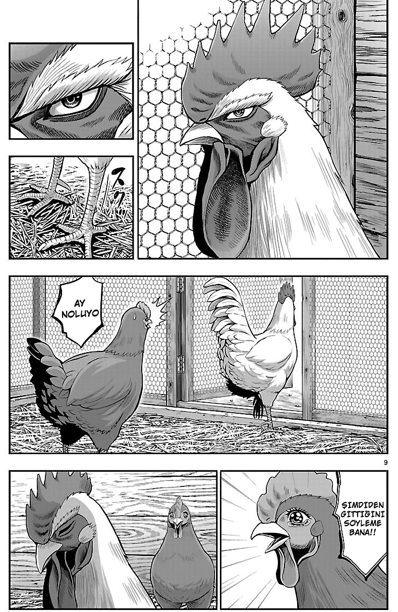 Rooster Fighter - Bölüm 1