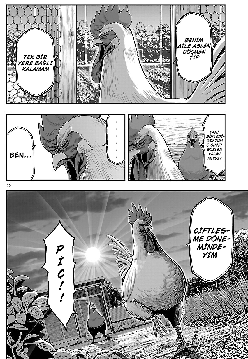 Rooster Fighter - Bölüm 1