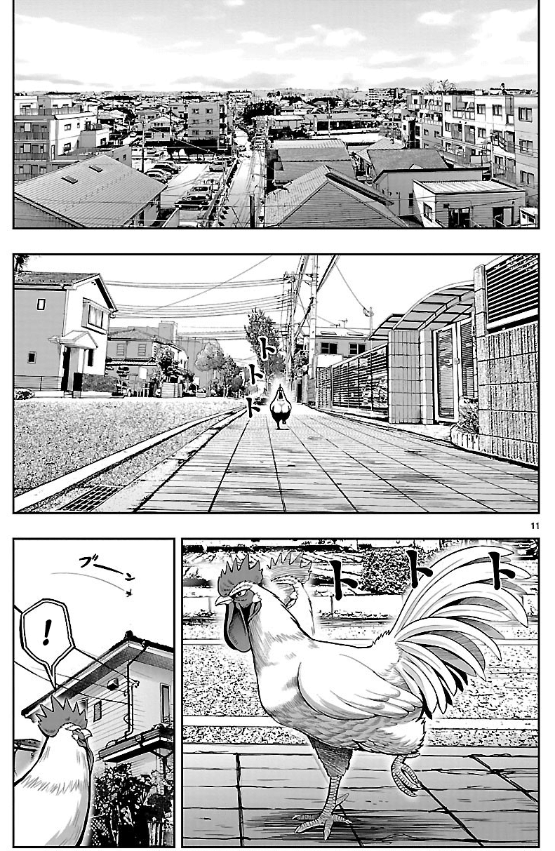 Rooster Fighter - Bölüm 1