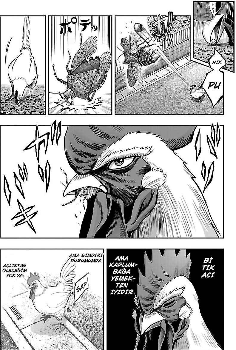 Rooster Fighter - Bölüm 1