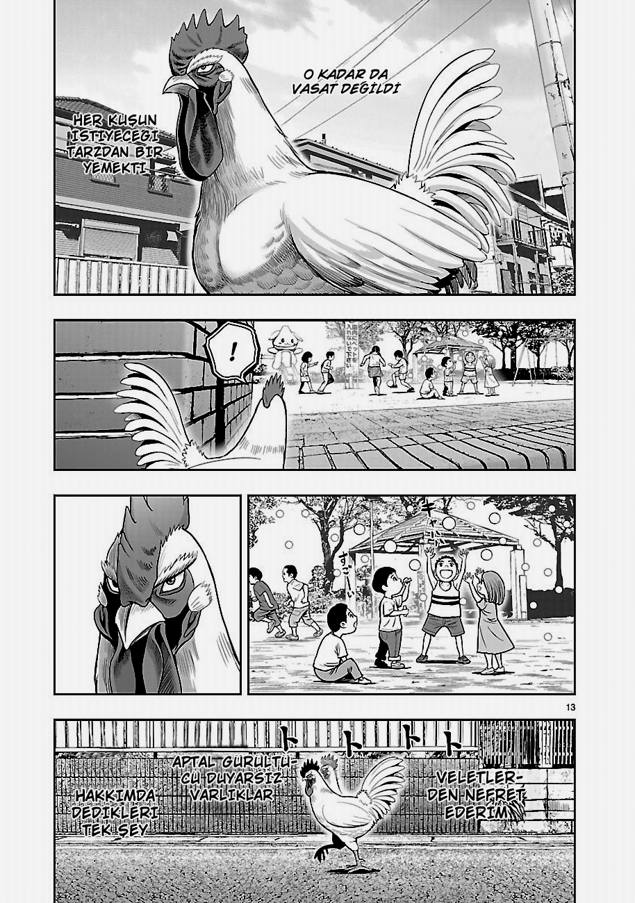 Rooster Fighter - Bölüm 1
