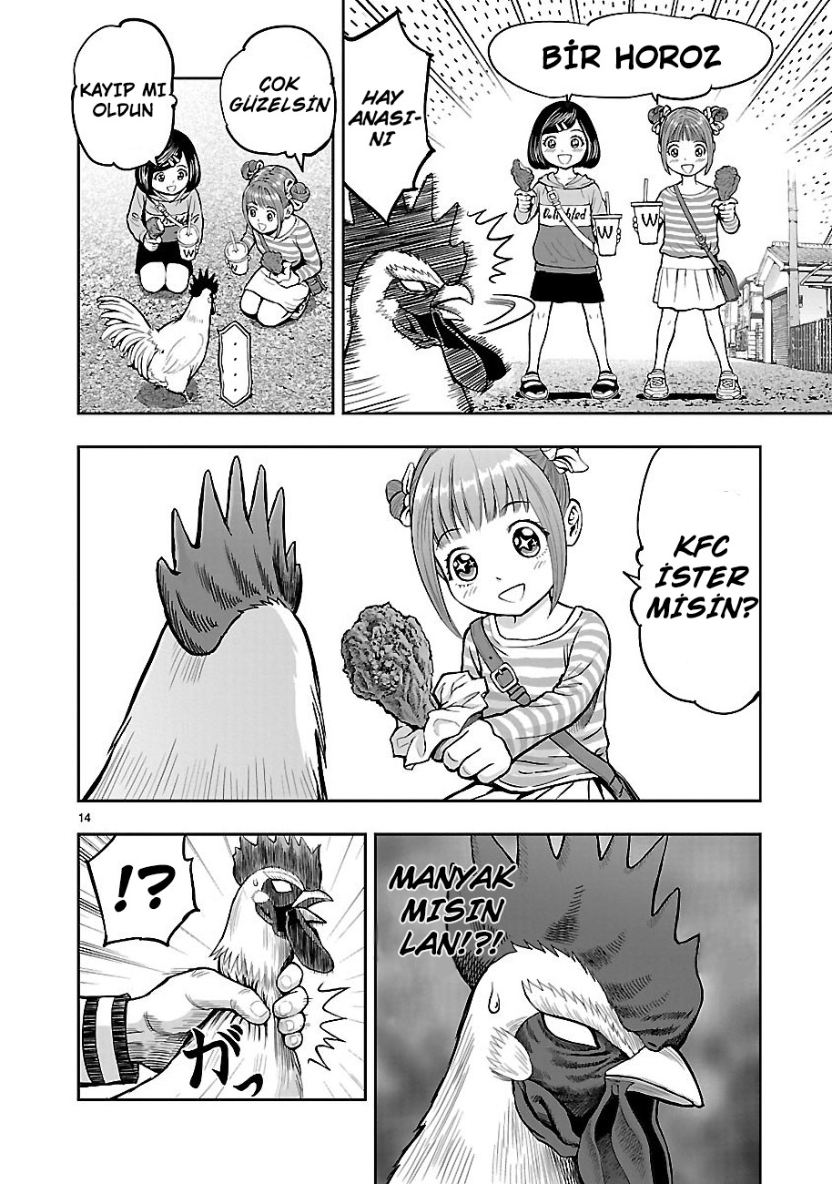 Rooster Fighter - Bölüm 1