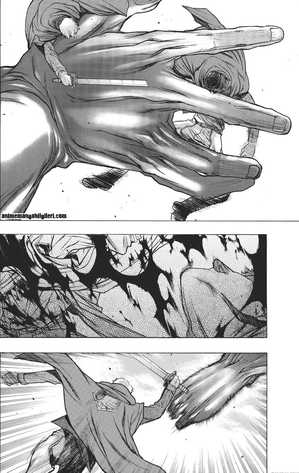 Shingeki no Kyojin - Before the Fall - Bölüm 8