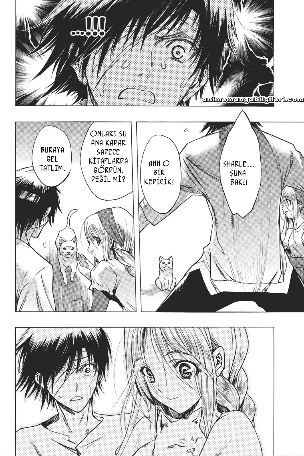 Shingeki no Kyojin - Before the Fall - Bölüm 13.5