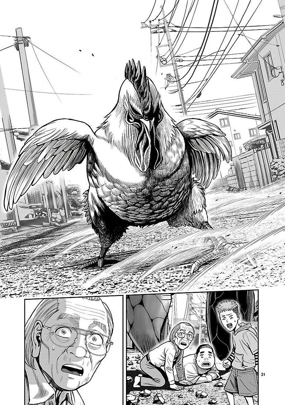 Rooster Fighter - Bölüm 1