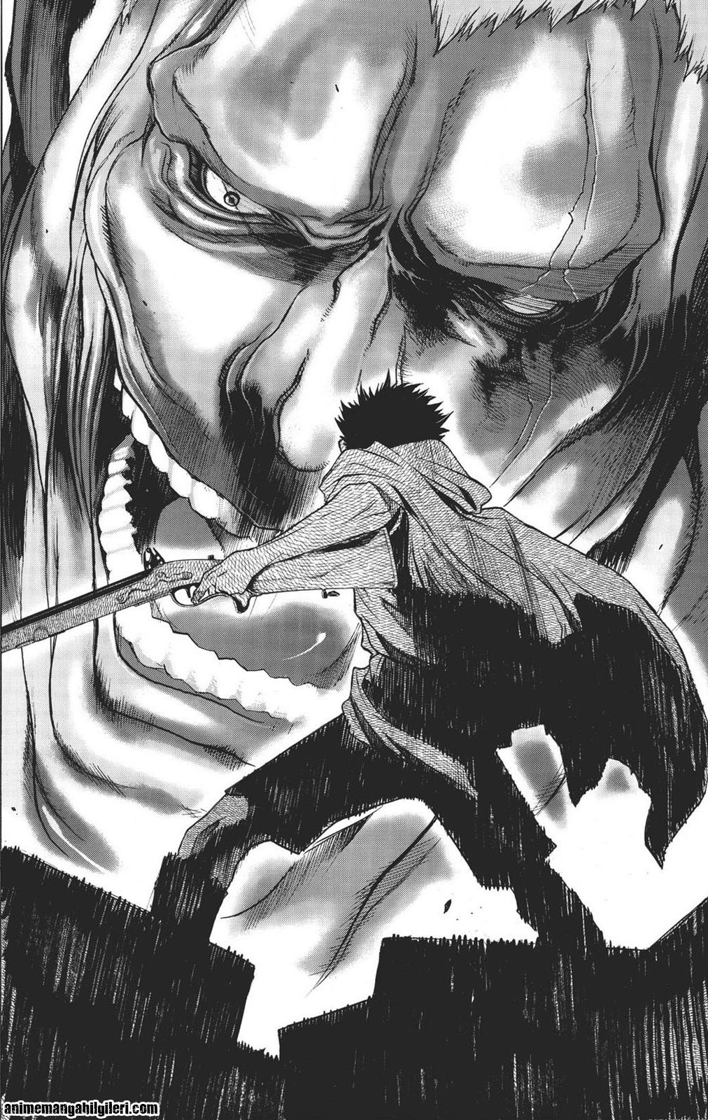 Shingeki no Kyojin - Before the Fall - Bölüm 6