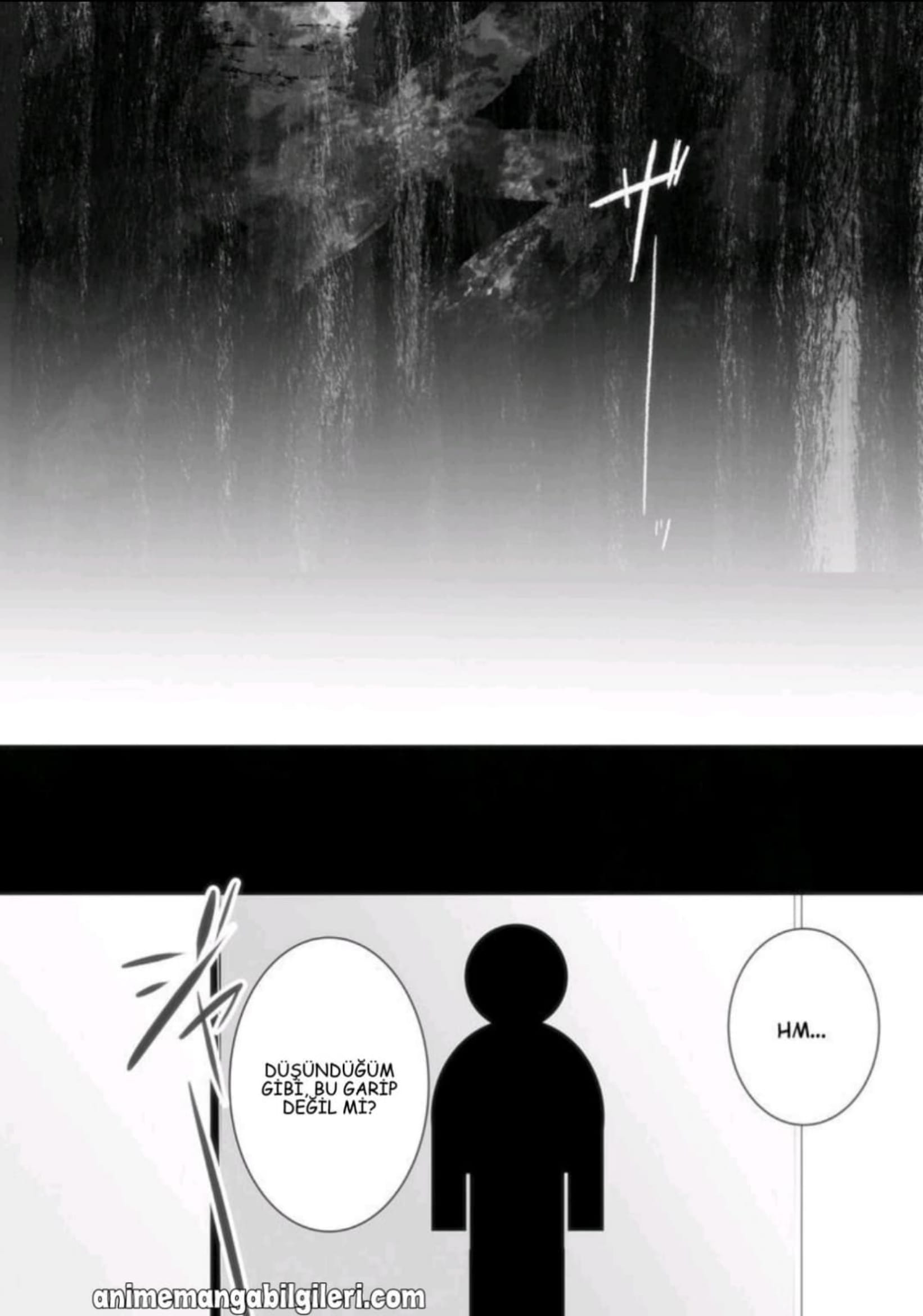 Kimi no Na wa. - Bölüm 1