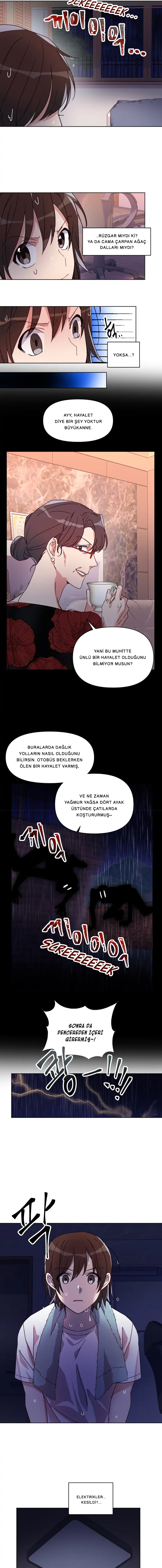 You Are Perfect for Me Bölüm 12
