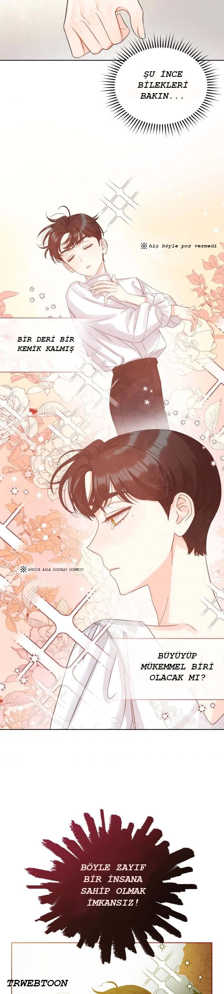 I Became the Younger Sister of a Regretful Obsessive Male Lead Bölüm 2