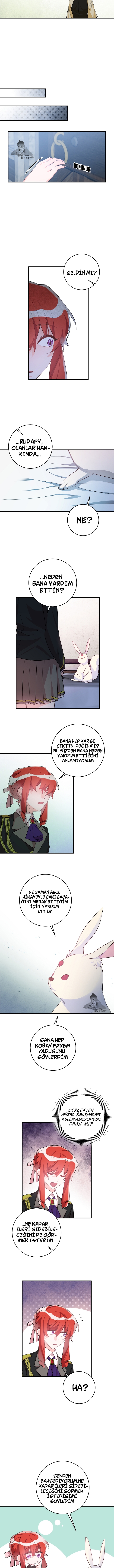 Leydi'nin Değişimi Bölüm 53