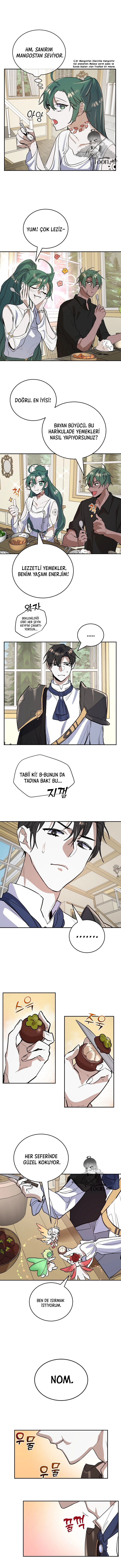 Cooking Wizard Bölüm 11