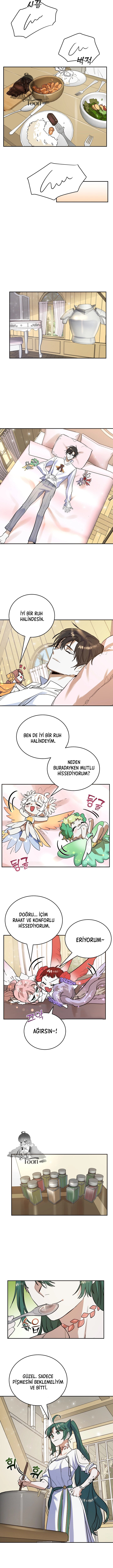 Cooking Wizard Bölüm 11