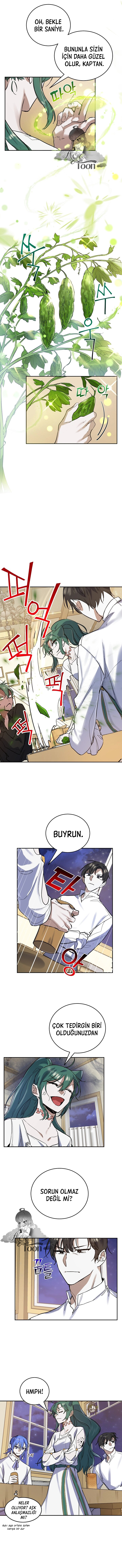 Cooking Wizard Bölüm 12