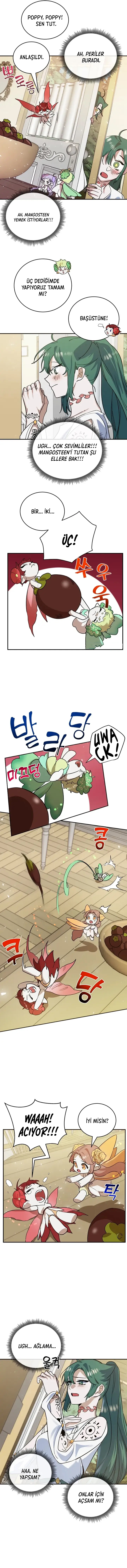 Cooking Wizard Bölüm 19