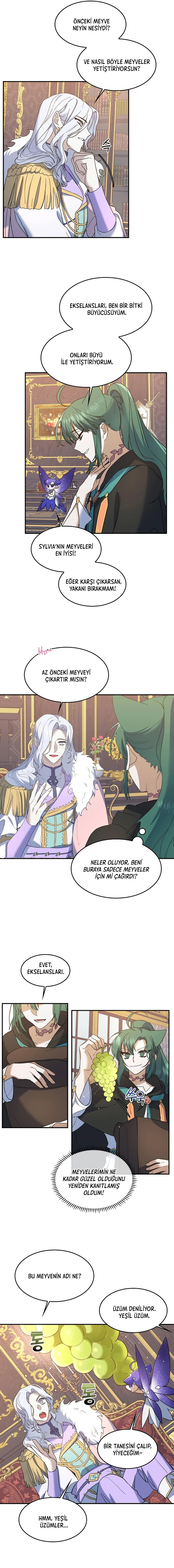 Cooking Wizard Bölüm 25