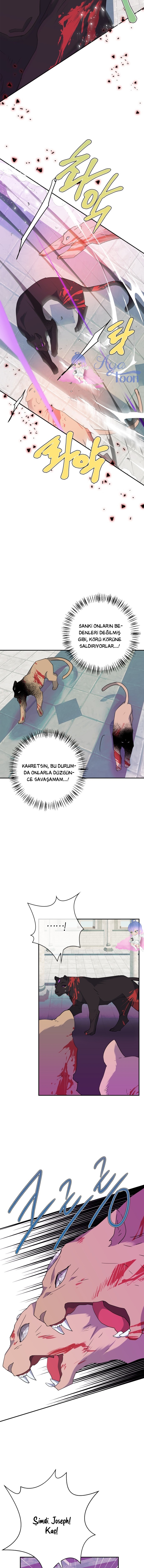 Canavarı Evcilleştirdim Bölüm 78