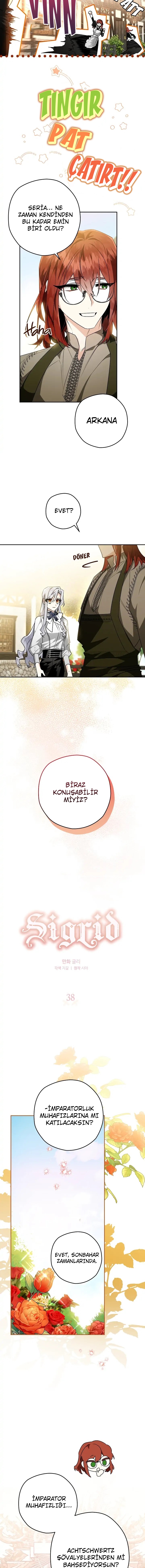 Sigrid Bölüm 38