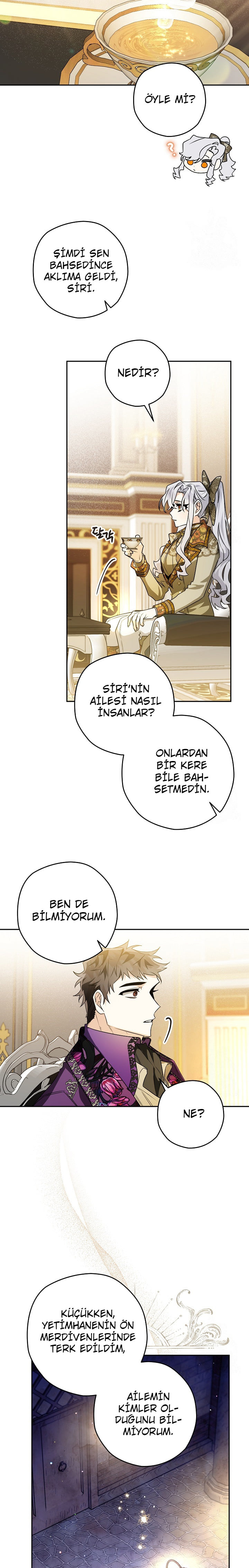 Sigrid Bölüm 41