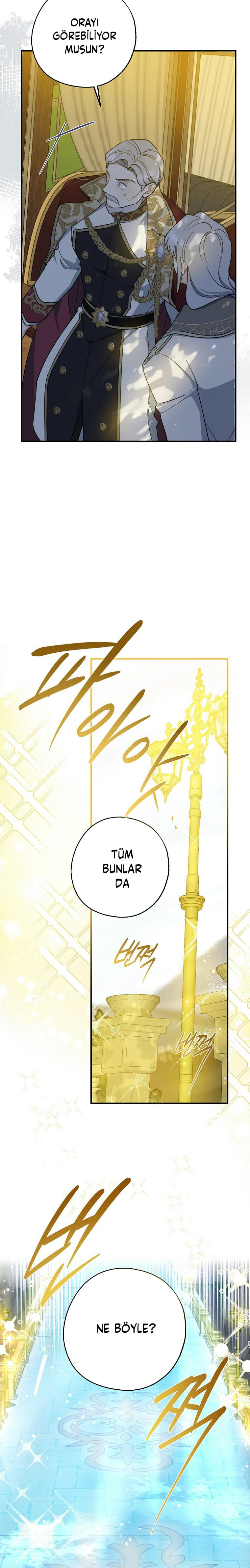 Here Comes the Silver Spoon! 113
