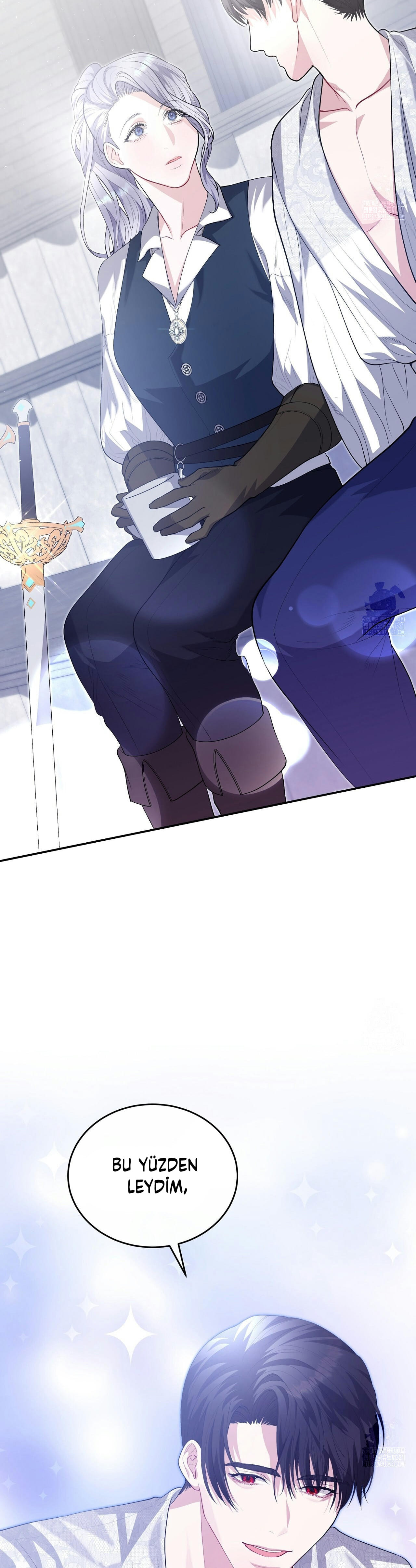 How to Protect My Male Lead Bölüm 10