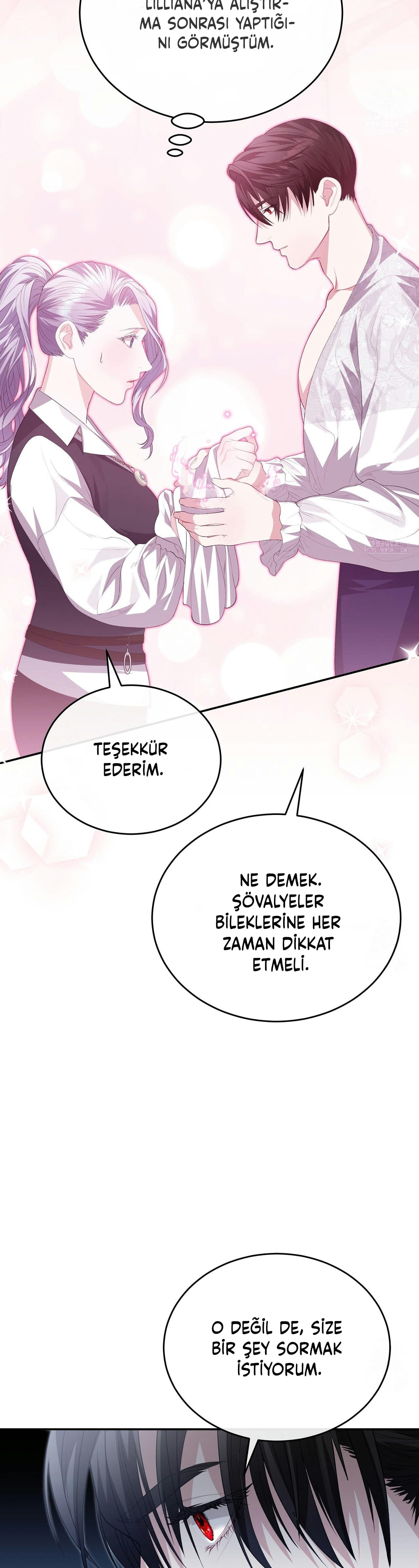 How to Protect My Male Lead Bölüm 10