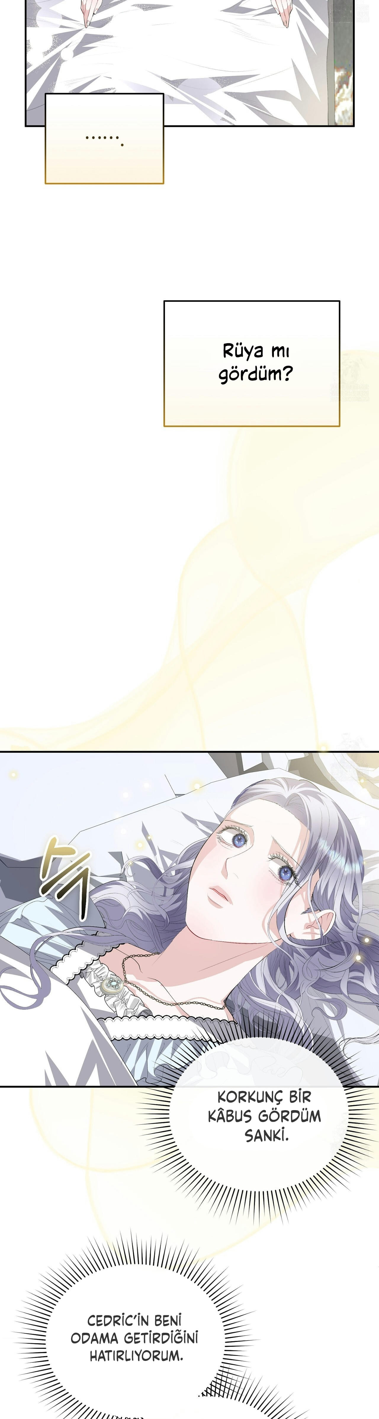 How to Protect My Male Lead Bölüm 13