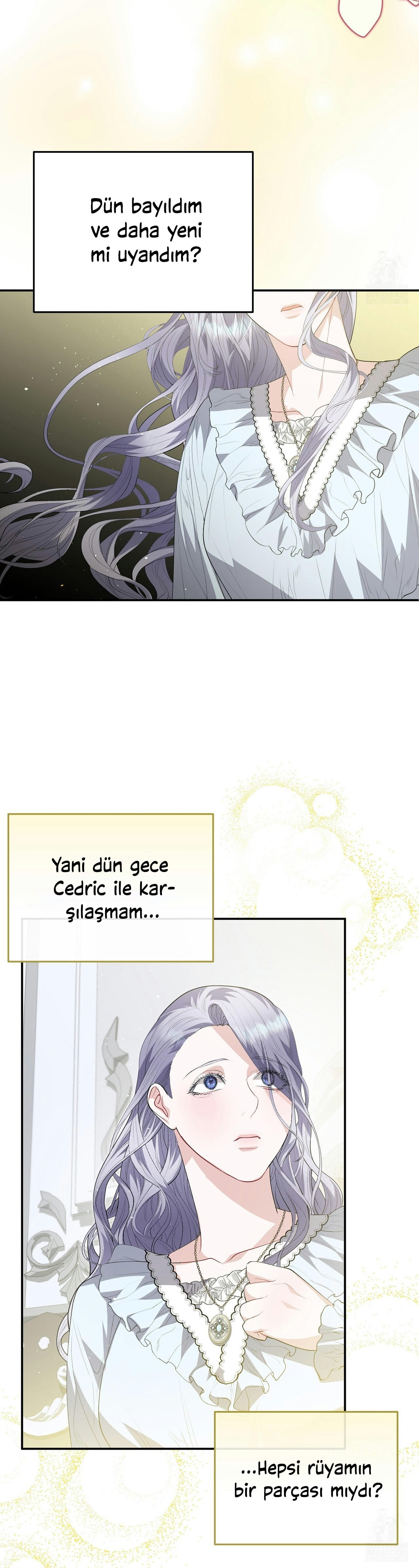 How to Protect My Male Lead Bölüm 13