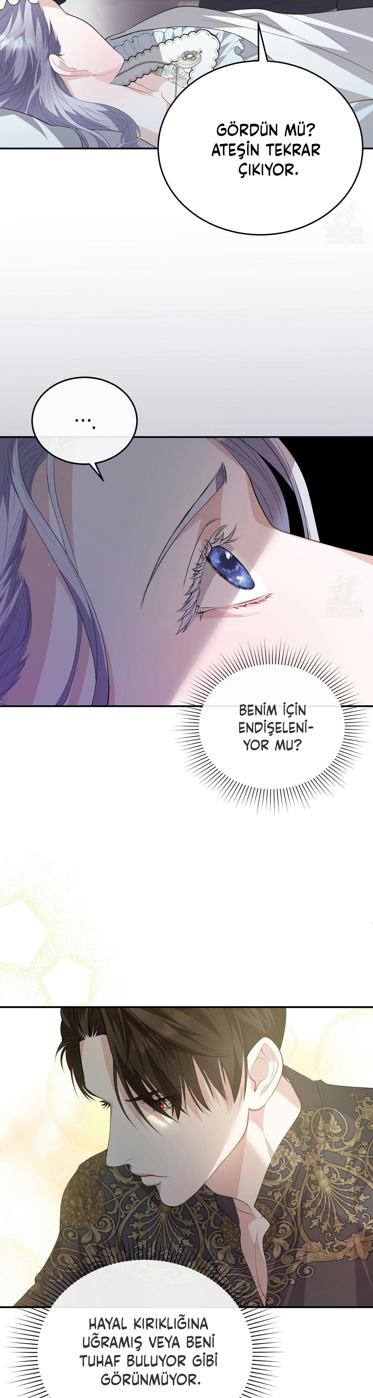 How to Protect My Male Lead Bölüm 13