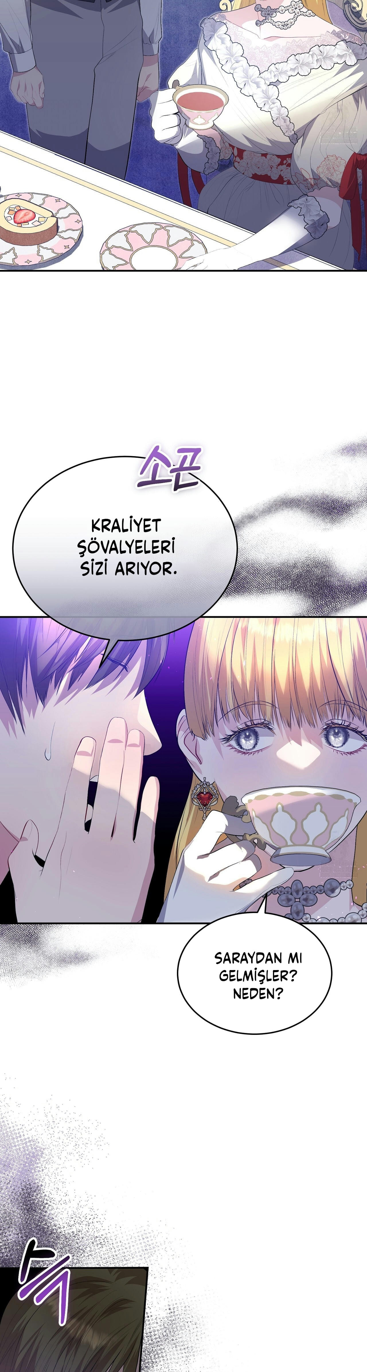 How to Protect My Male Lead Bölüm 14