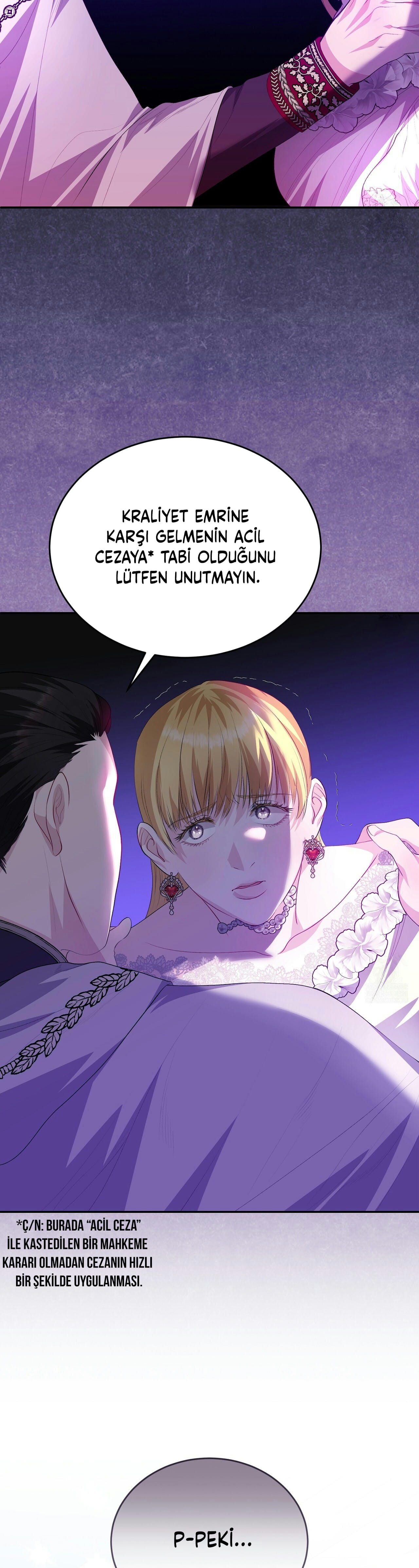 How to Protect My Male Lead Bölüm 14