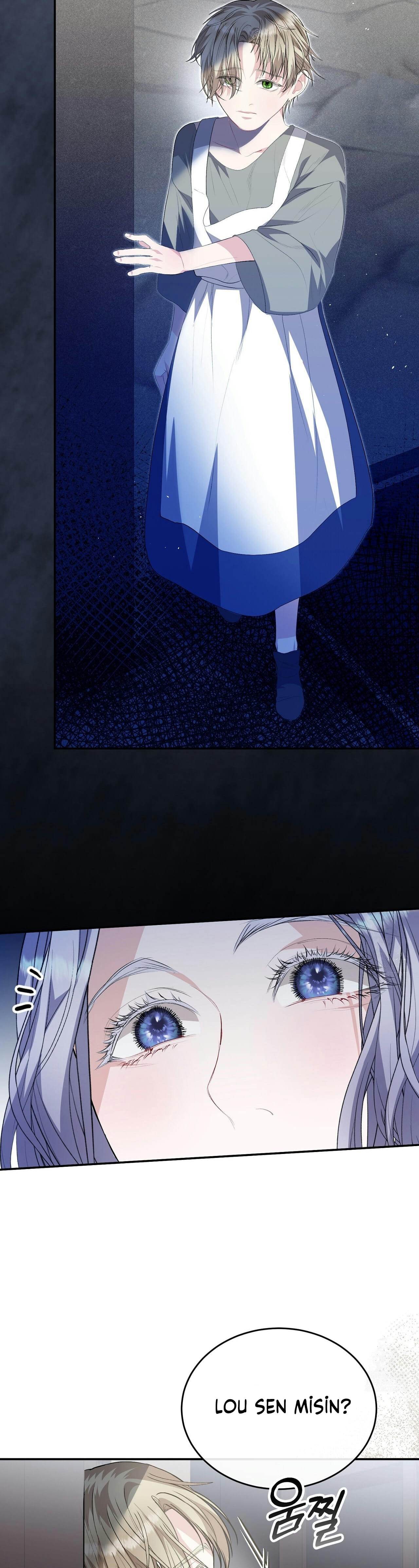 How to Protect My Male Lead Bölüm 15