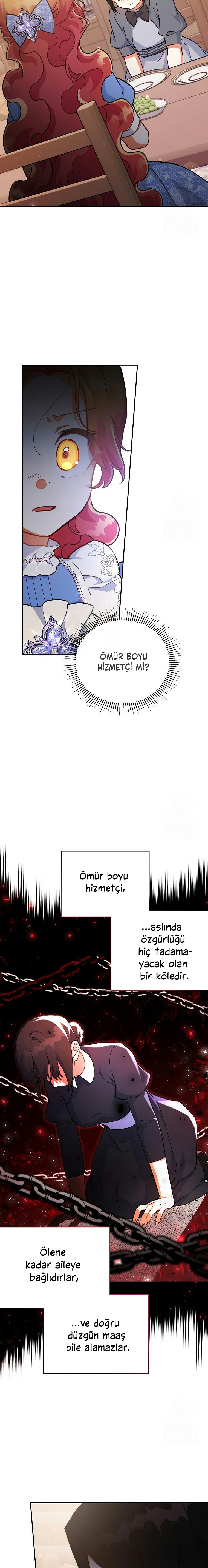 Çiçekleri Yeşerten Küçük Leydi Bölüm 47